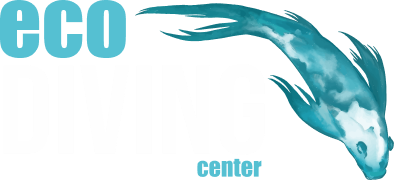Eco Diving Center